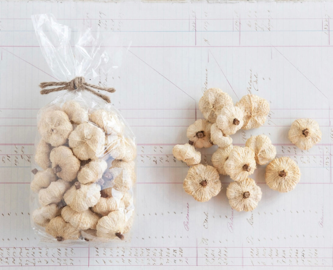 Dried Natural Peepal Pods in a Bag | Cream