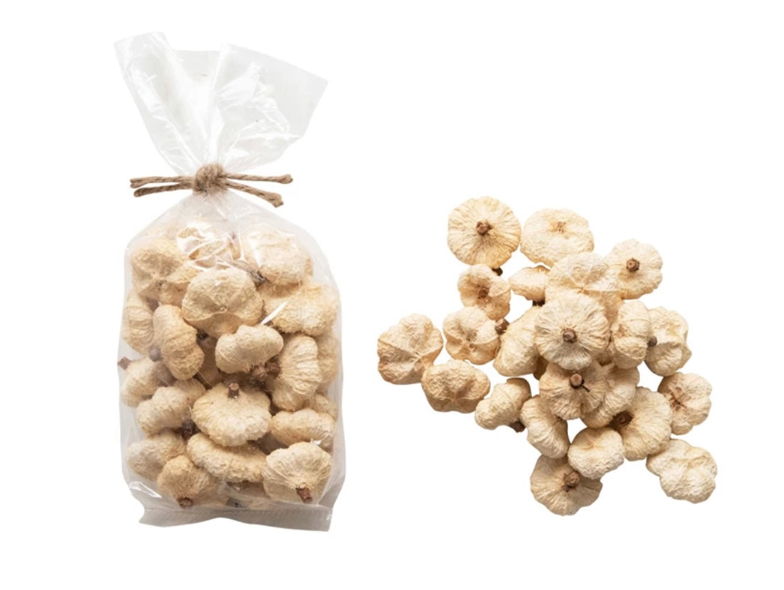 Dried Natural Peepal Pods in a Bag | Cream