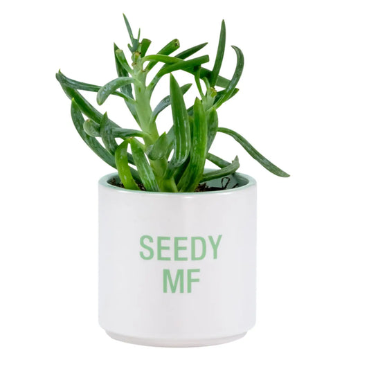 Seedy MF Planter