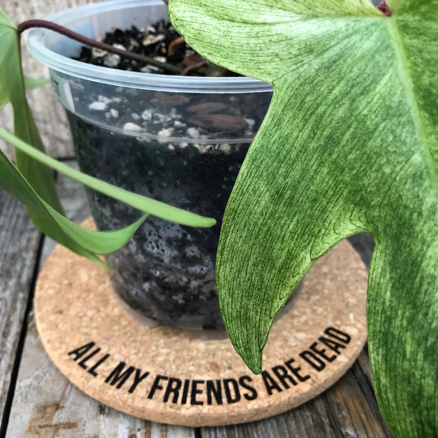 All My Friends are Dead - Cork Plant Mat