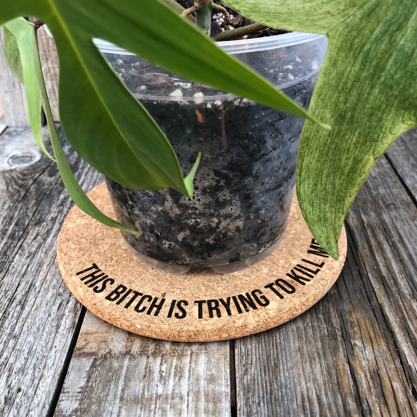 This Bitch is Trying to Kill Me - Cork Plant Mat