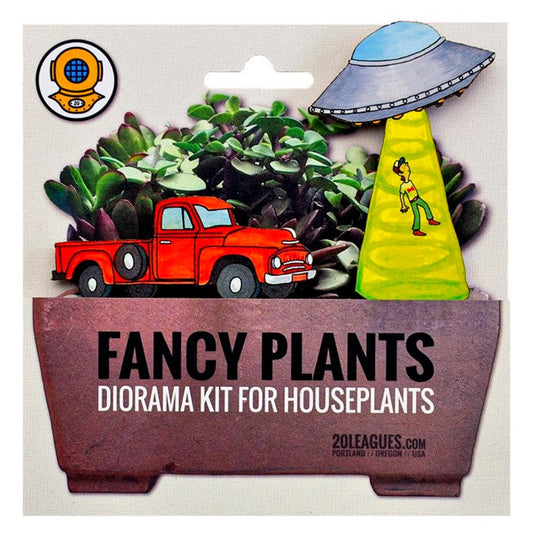 Fancy Plants Diorama Kits